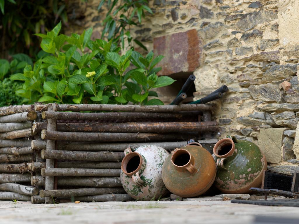Les Demeures De Marie Bed & Breakfast Pacé Exterior foto